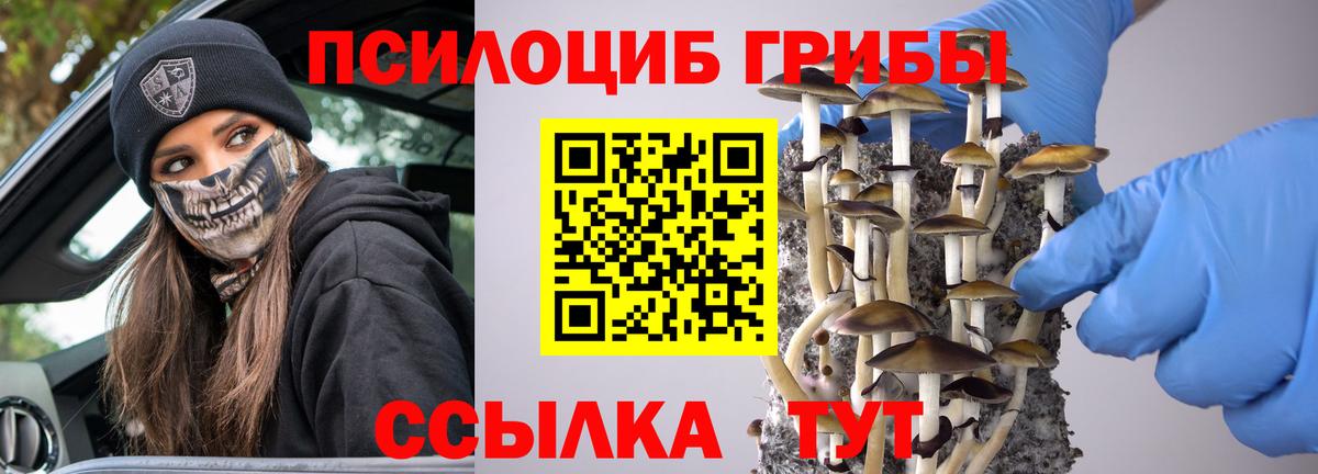 Галлюциногенные грибы ЛСД Камышин